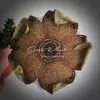 edithcolea grandis