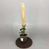 euphorbia dwarf form Snow Cup / молочай карликовая форма Сноу Кап (Снежный кубок)